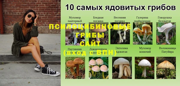 бошки Рославль