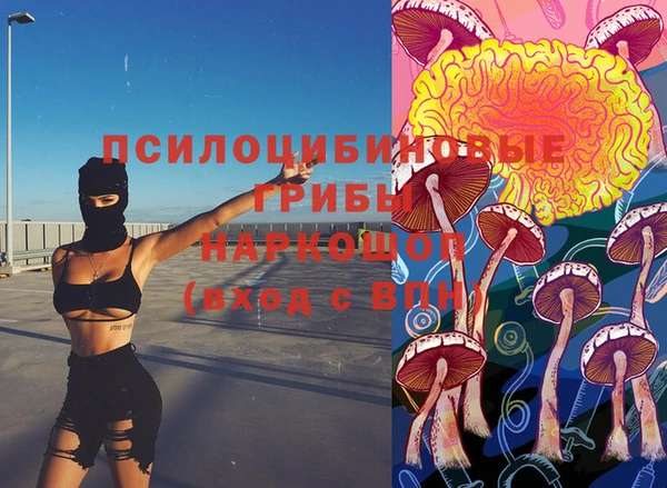 apvp Абаза